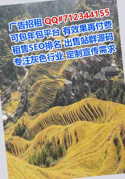金台借腹生子系统工程经营部